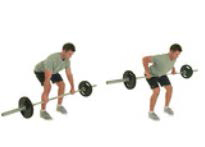 Banks O' Dee Barbell Bent over Row