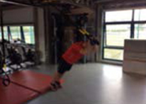 Banks O' Dee Body Weight Trx Tricep Extension Standing