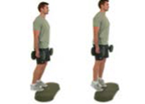 Banks O' Dee Dumbbells Calf Raise