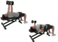 Banks O' Dee Dumbbells Fly on Bench