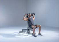 Banks O' Dee Dumbbells O'verhead Press Seated on Bench