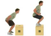 Banks O' Dee Plyo Box Box Jump